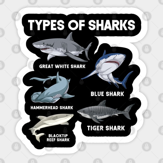 Types of Sharks Sticker by Peco-Designs